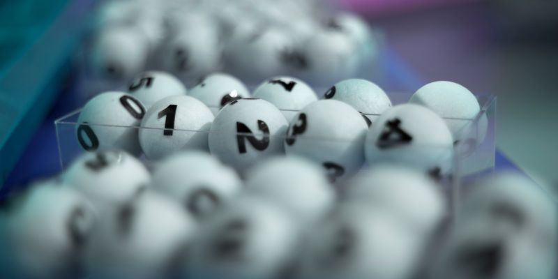 Bạch thủ lô Iwin là gì